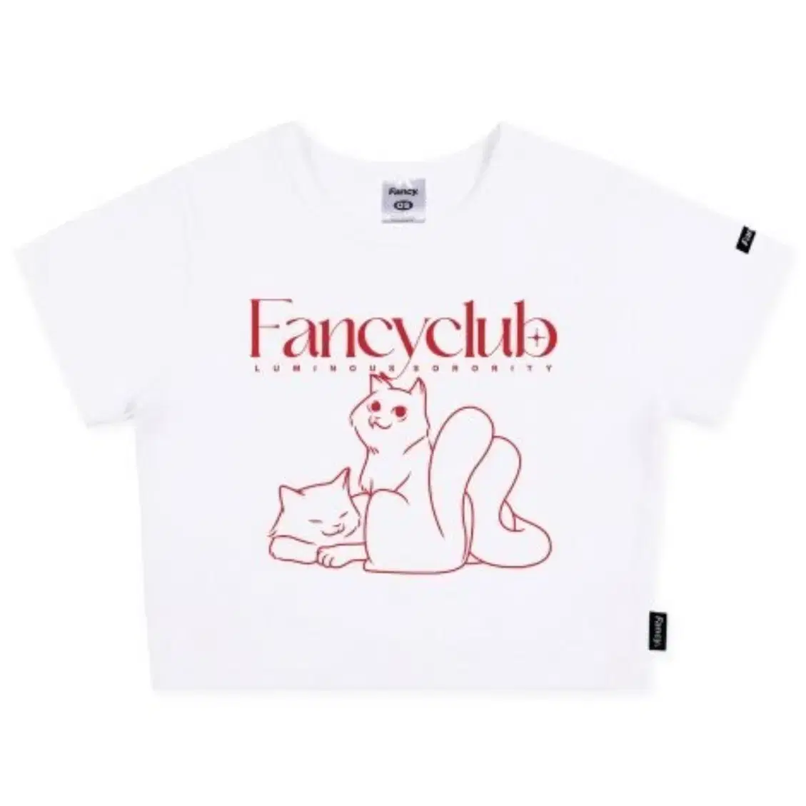 Fancy club 크롭티