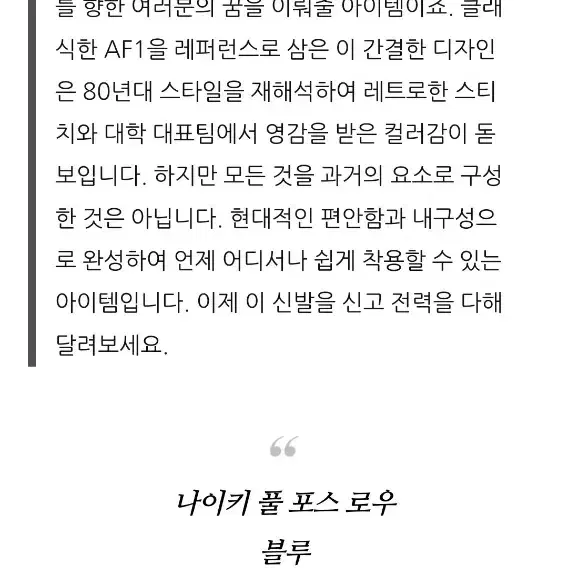 나이키 풀 포스 로우 265 블루 스니커즈