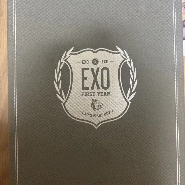 EXO 엑소 first year DVD