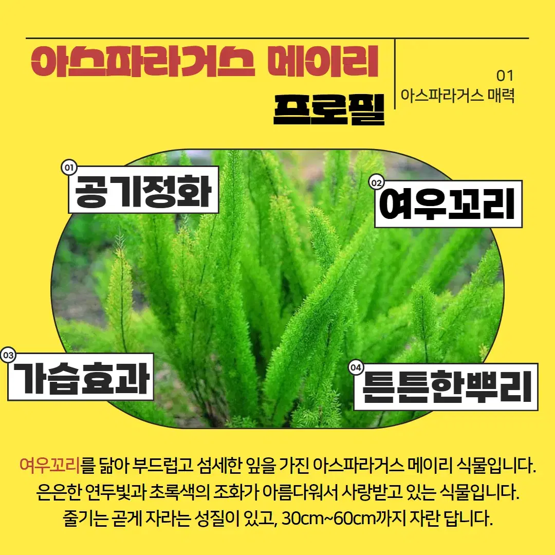 조경 식물 관리 전문업체