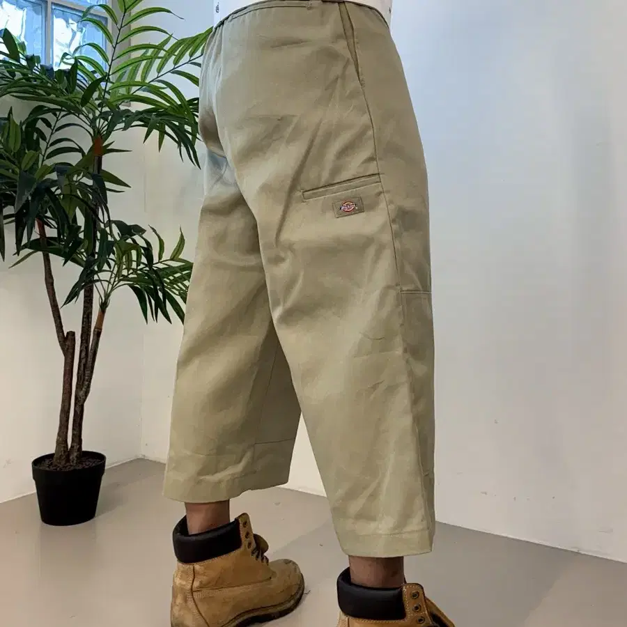 DICKIES