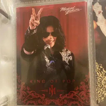 마이클 잭슨 파니니 112michael jackson