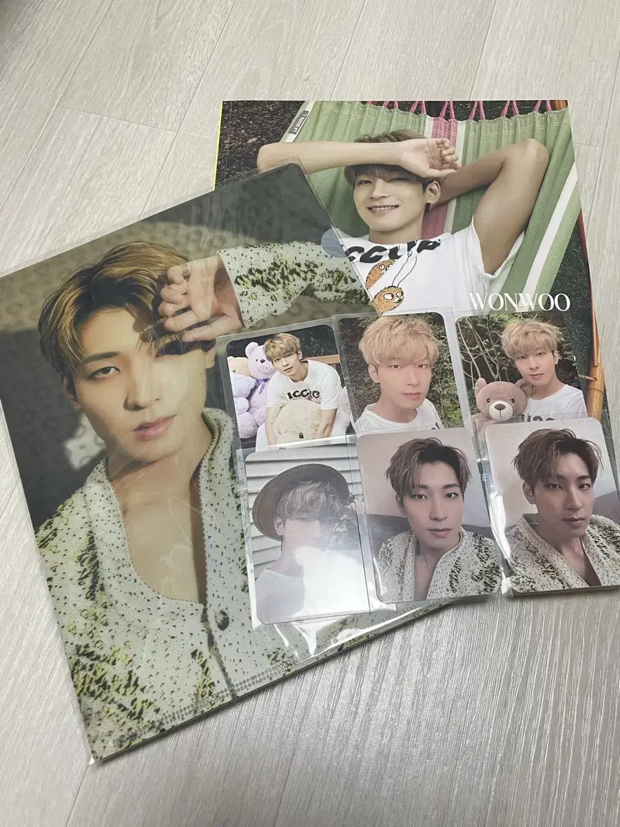 Seventeen wonwoo A set of photo kards from Ikon magazine.