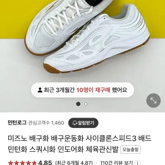 미즈노 배구화