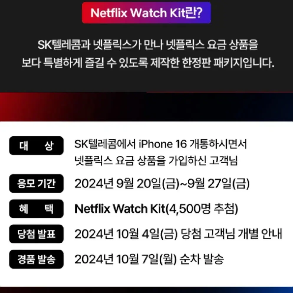 Netflix Watch Kit 넷플릭스 워치 키트 한정판 미개봉 새상품