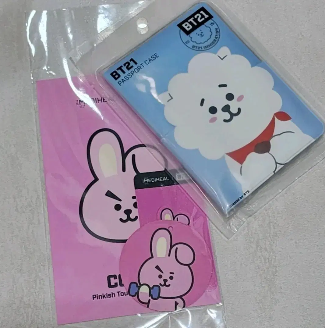 방탄 라인프렌즈 BT21 RJ 진 여권케이스