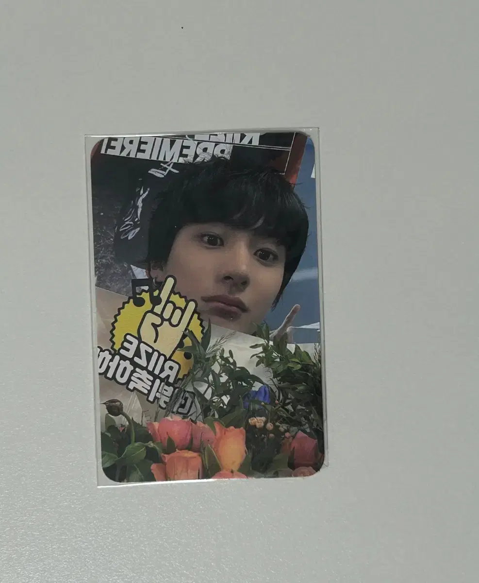 riize chanyoung geterguitar photocard yes24 yesa