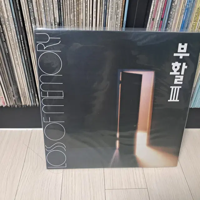 LP..부활3집(1993년)소나기