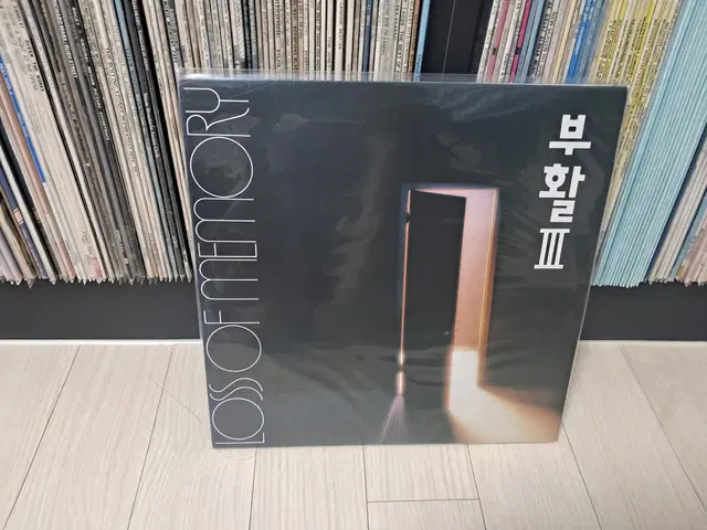 LP..부활3집(1993년)소나기