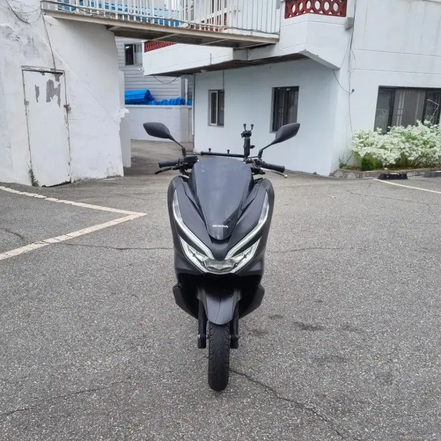 pcx125cc. 19년식팝니다