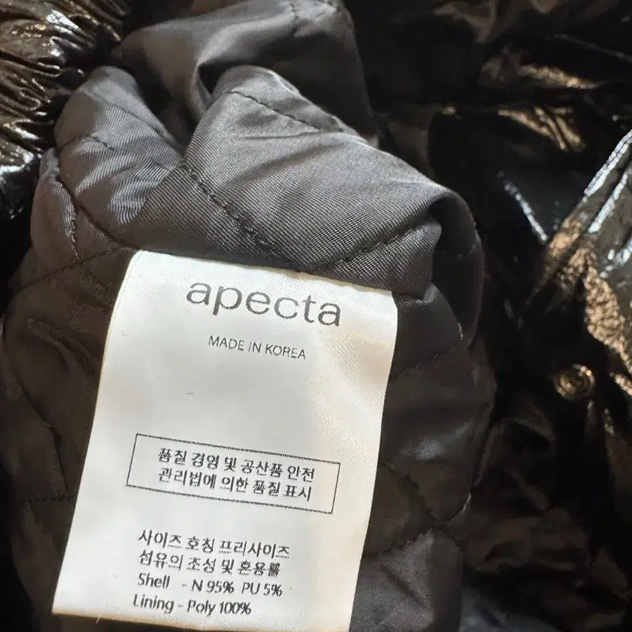 apecta 아펙타 패딩