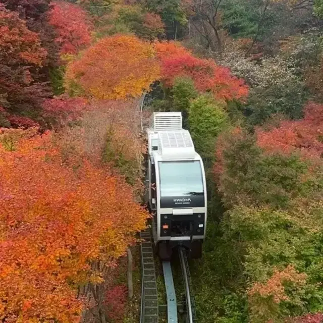 곤지암 11월 2일, 11월 9일 모노레일