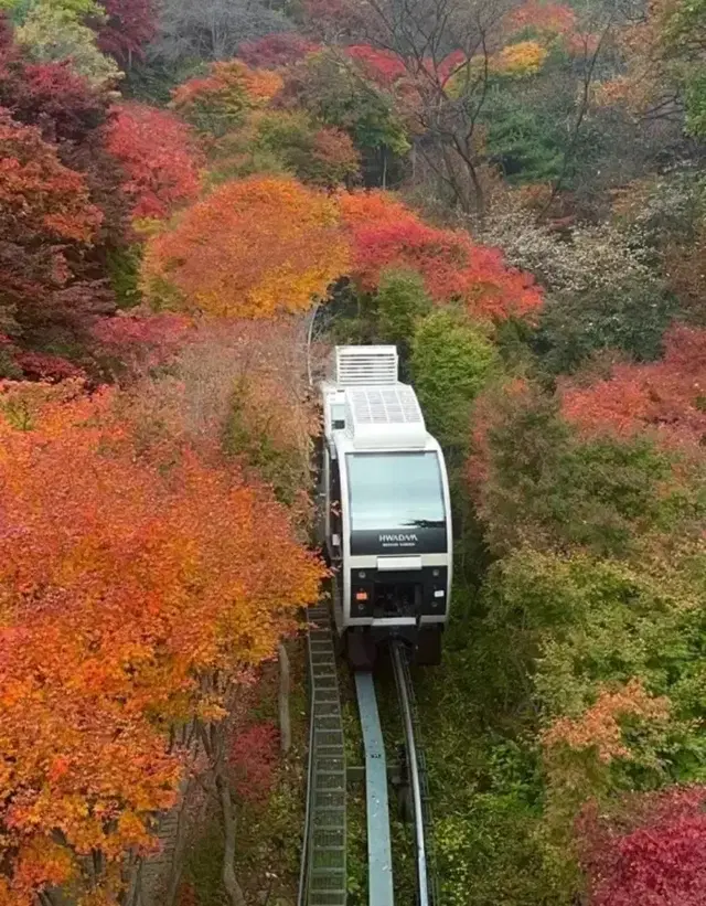 곤지암 11월 2일, 11월 9일 모노레일