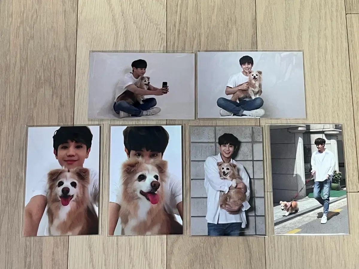 Yang Yoseob Zodiac Photocard & Debt Set