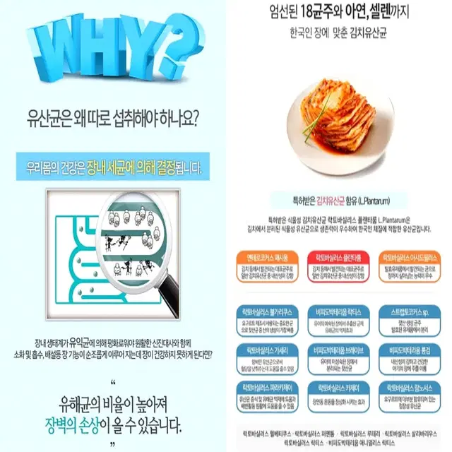 [2개월]파마젠 프로바이오틱스 유산균 의 아침 신바이오틱스 60캡슐