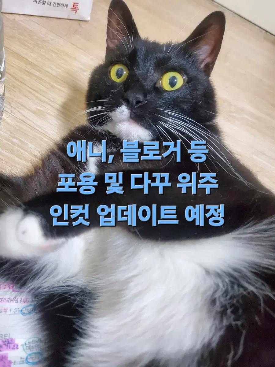 애니,블로거등 인컷 업데이트 예정