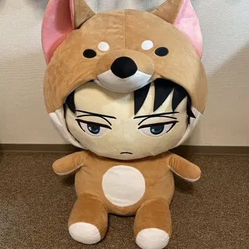 아니마루코 리바이 L