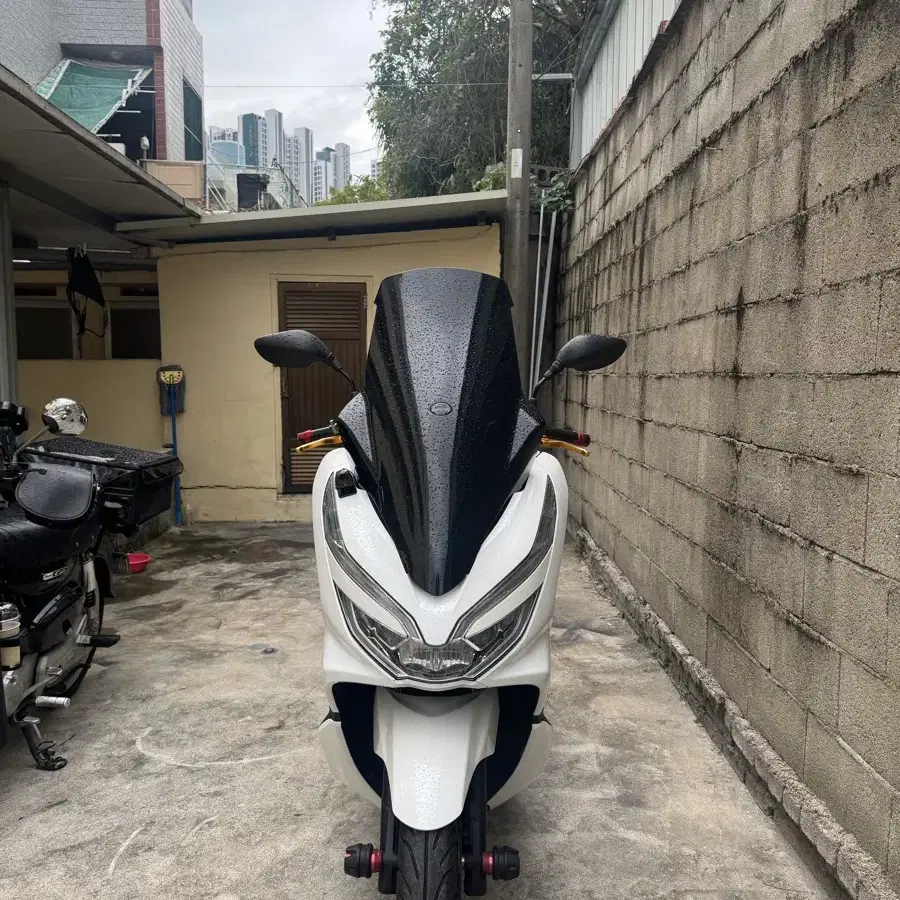 부산 pcx 150 19년식