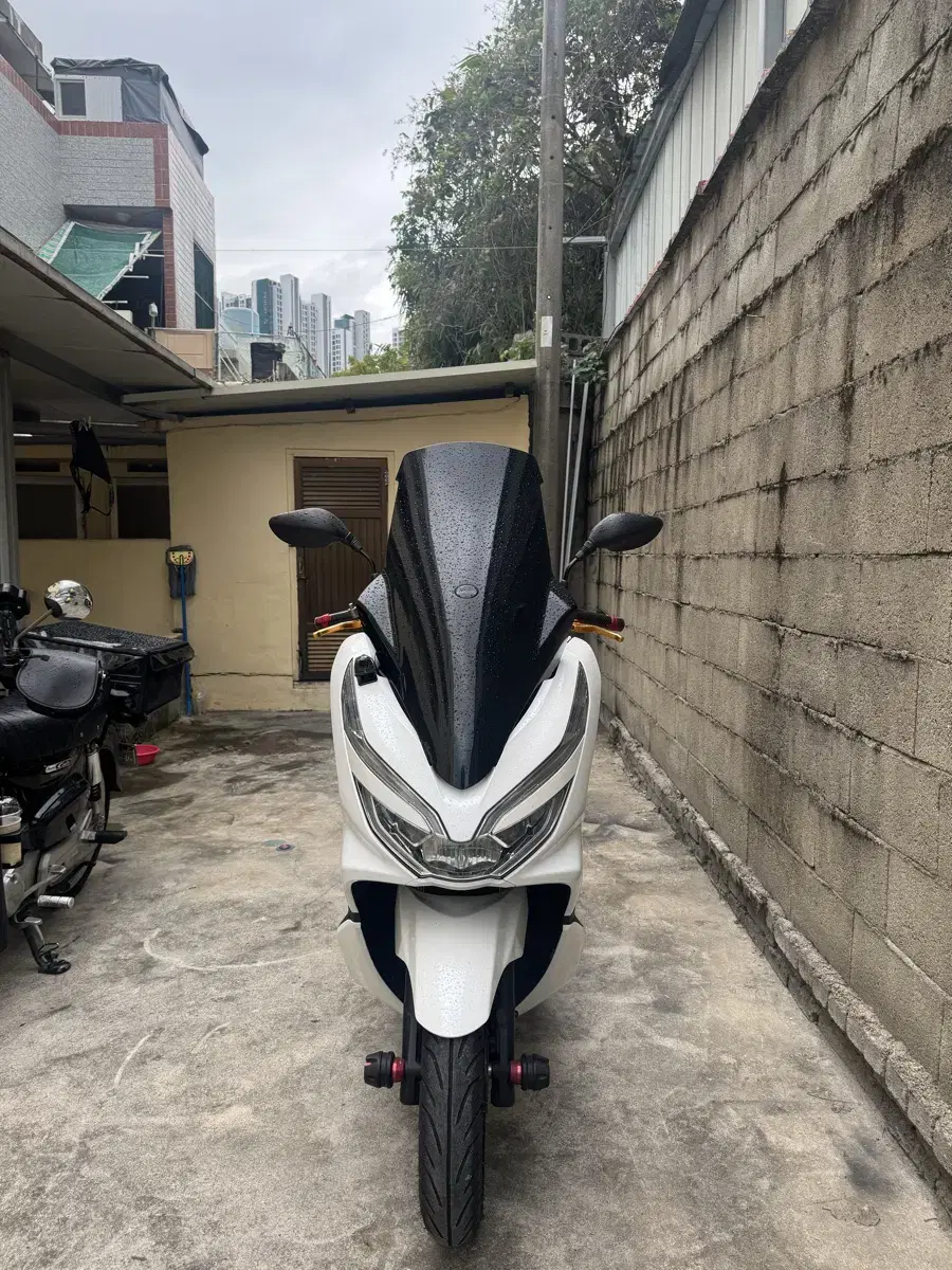 부산 pcx 150 19년식