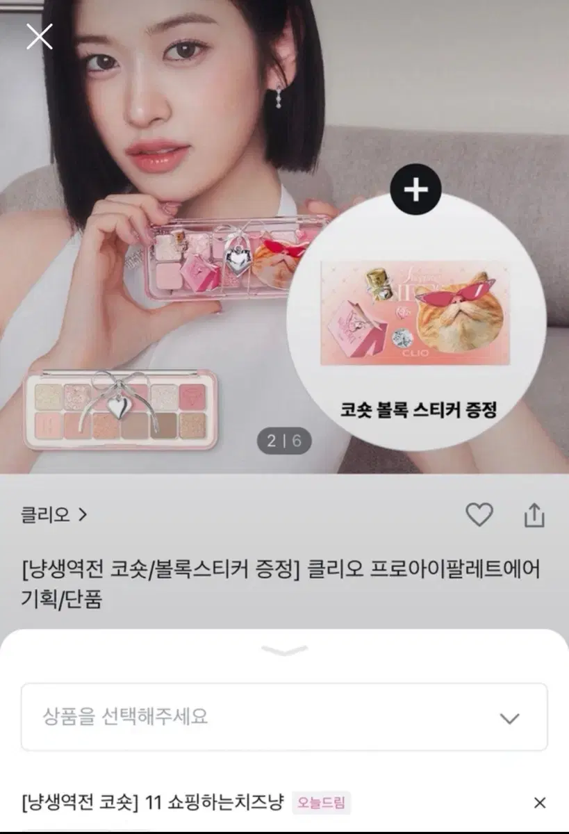 새상품))클리오 팔레트  쇼핑하는치즈냥+클리오 브러쉬2개