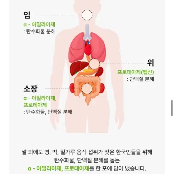 뉴트리원 밸런스자임 비비랩 효소