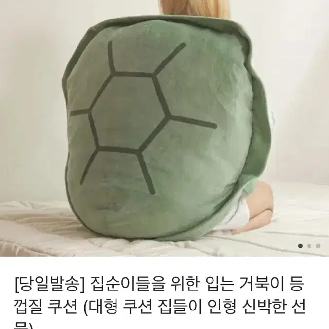 거북이 등딱지 쿠션 인형