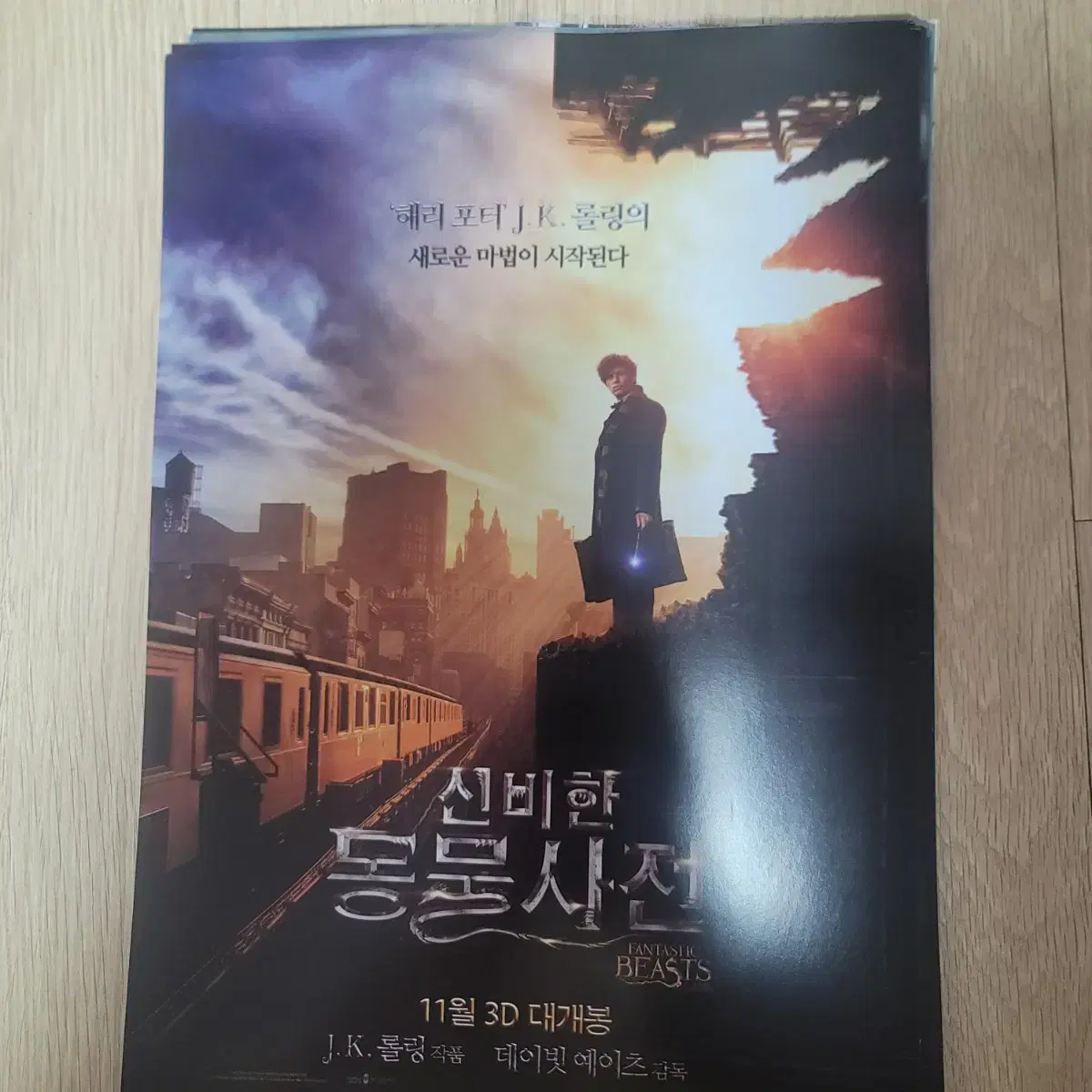 Fantastic Beasts and Where to Find Them movie poster pamphlet flyer