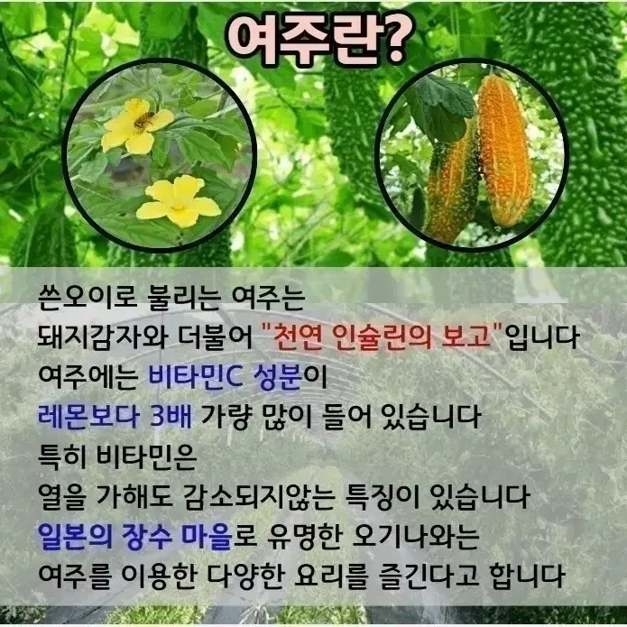 여주즙