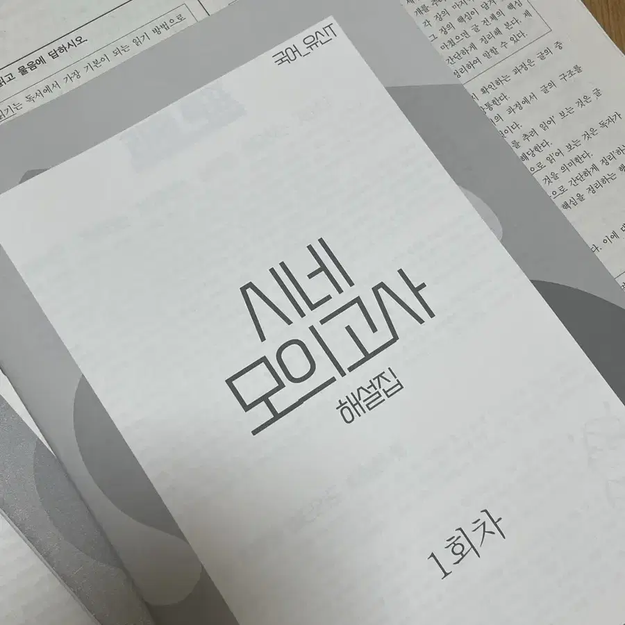 2025 시대인재 재종 유신 국어 선별 모의고사 시네