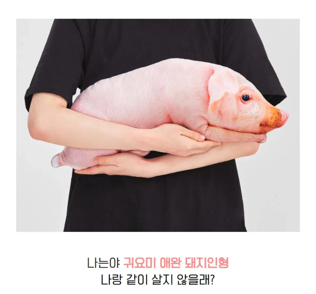 애완 돼지 인형 50cm