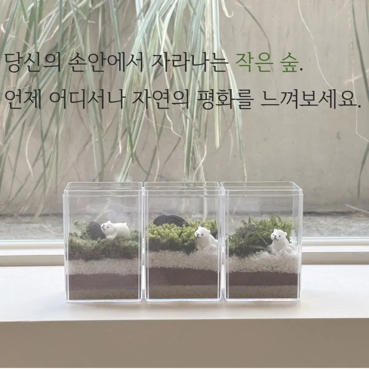 <나만의 작은 정원, DIY 미니 비바리움 키트>