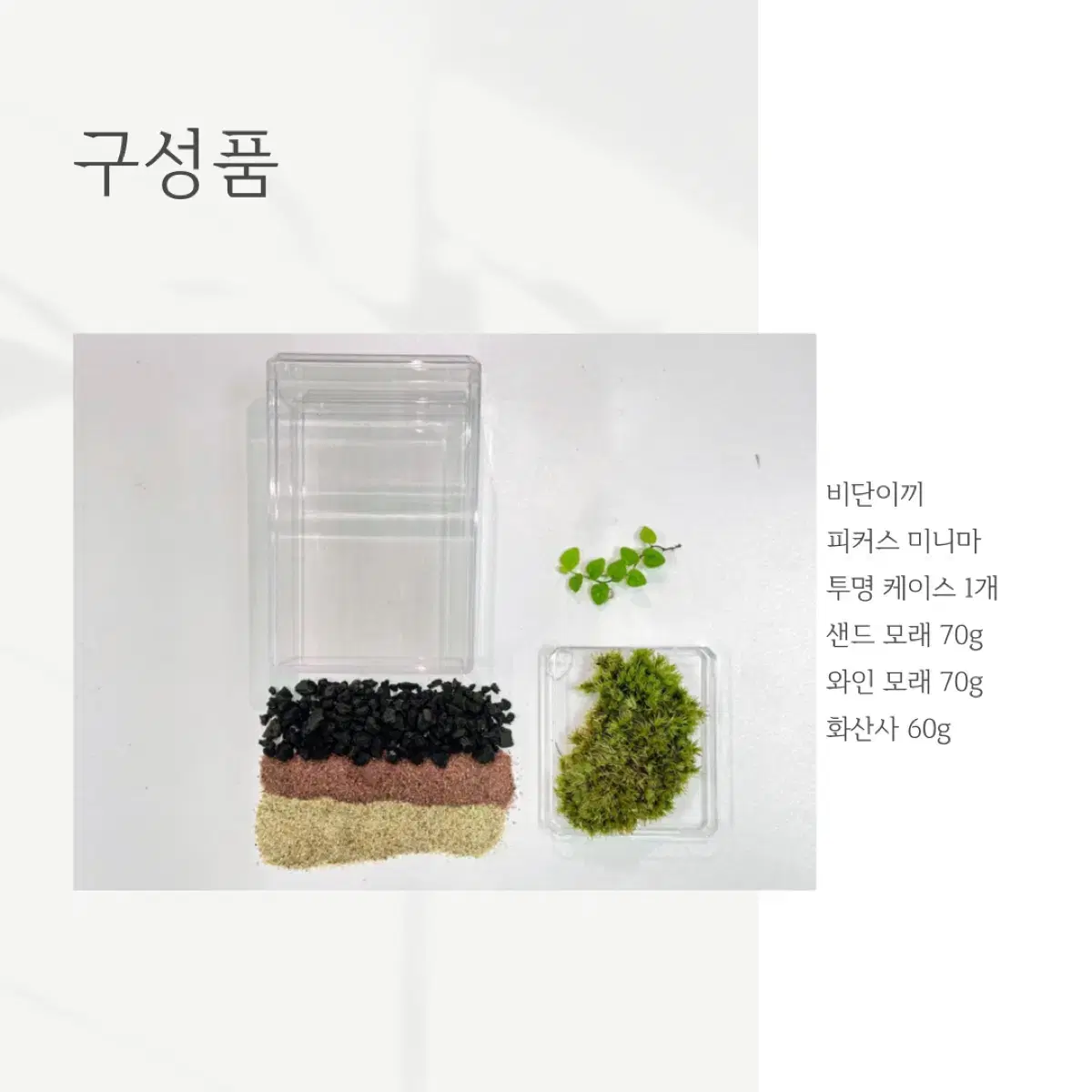 <최단 거리에 숲을 거머쥐다, DIY 미니 비바리움 키트>