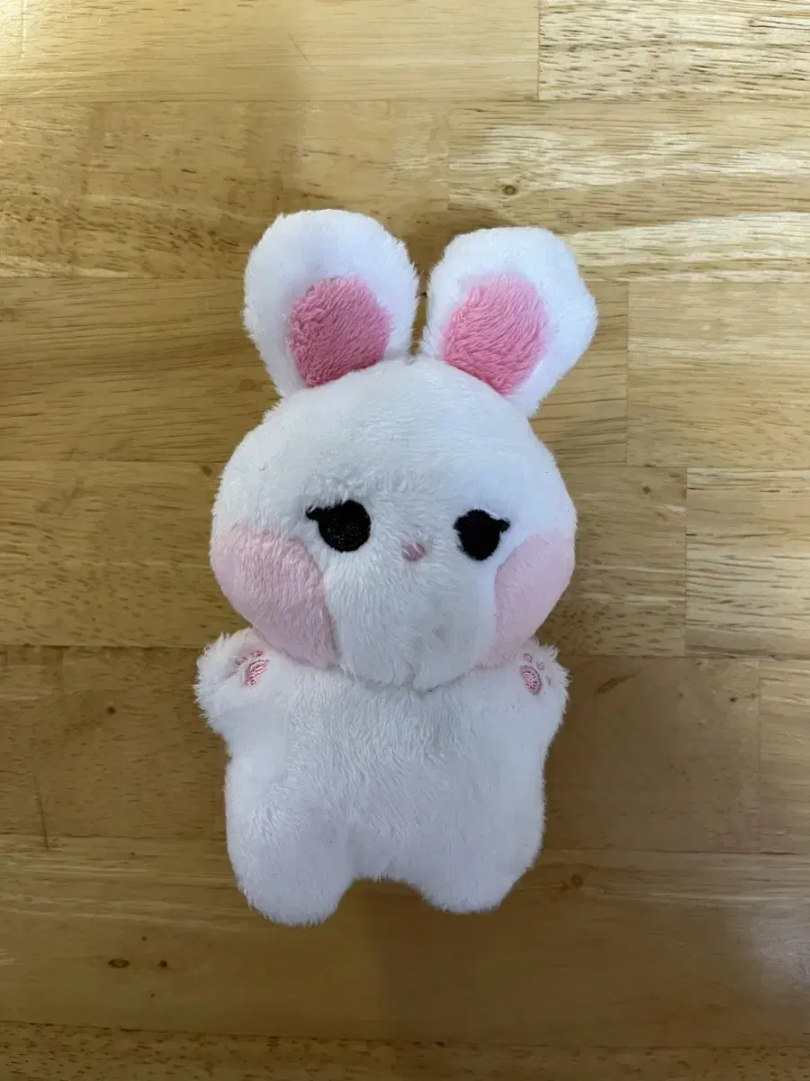 Sell seventeen bunny rabbits