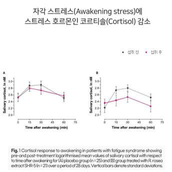 위드바이오 홍경천 700mg x 60정x3BOX