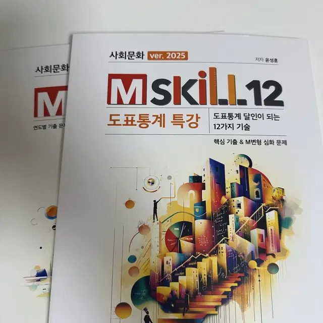 2025 윤성훈 엠스킬 mskill 도표 사문