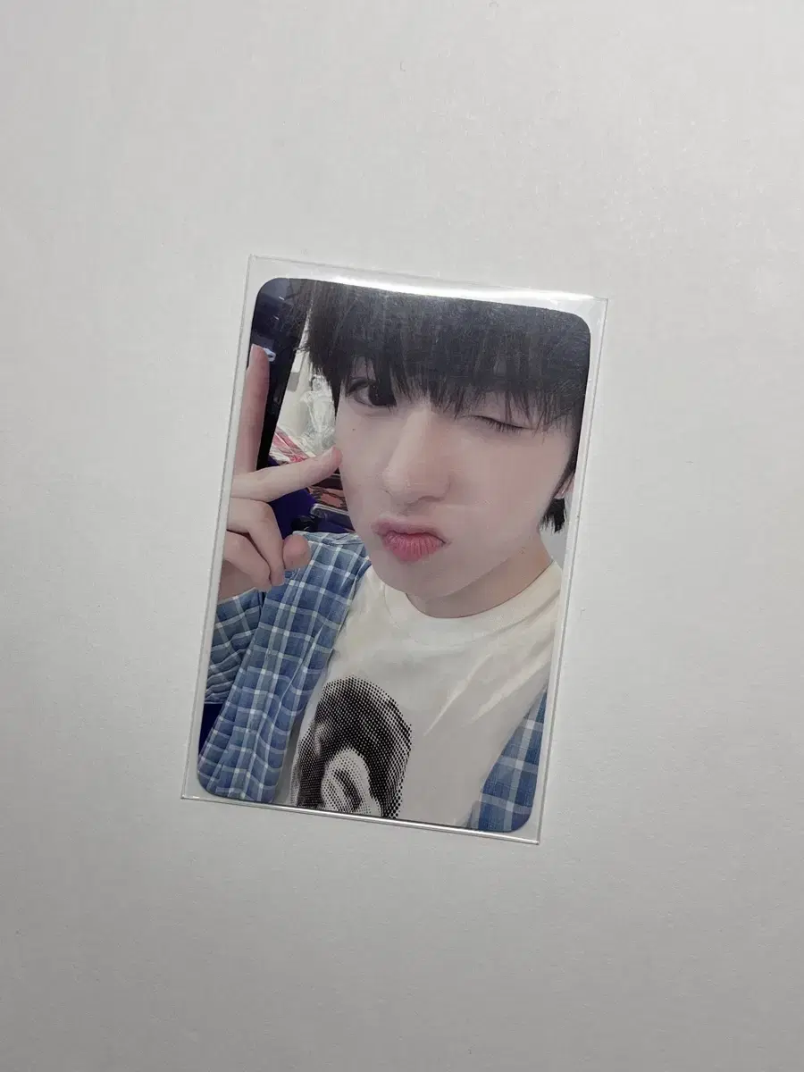 NCT wish Sakuya DearMyMu ld photocard WTS