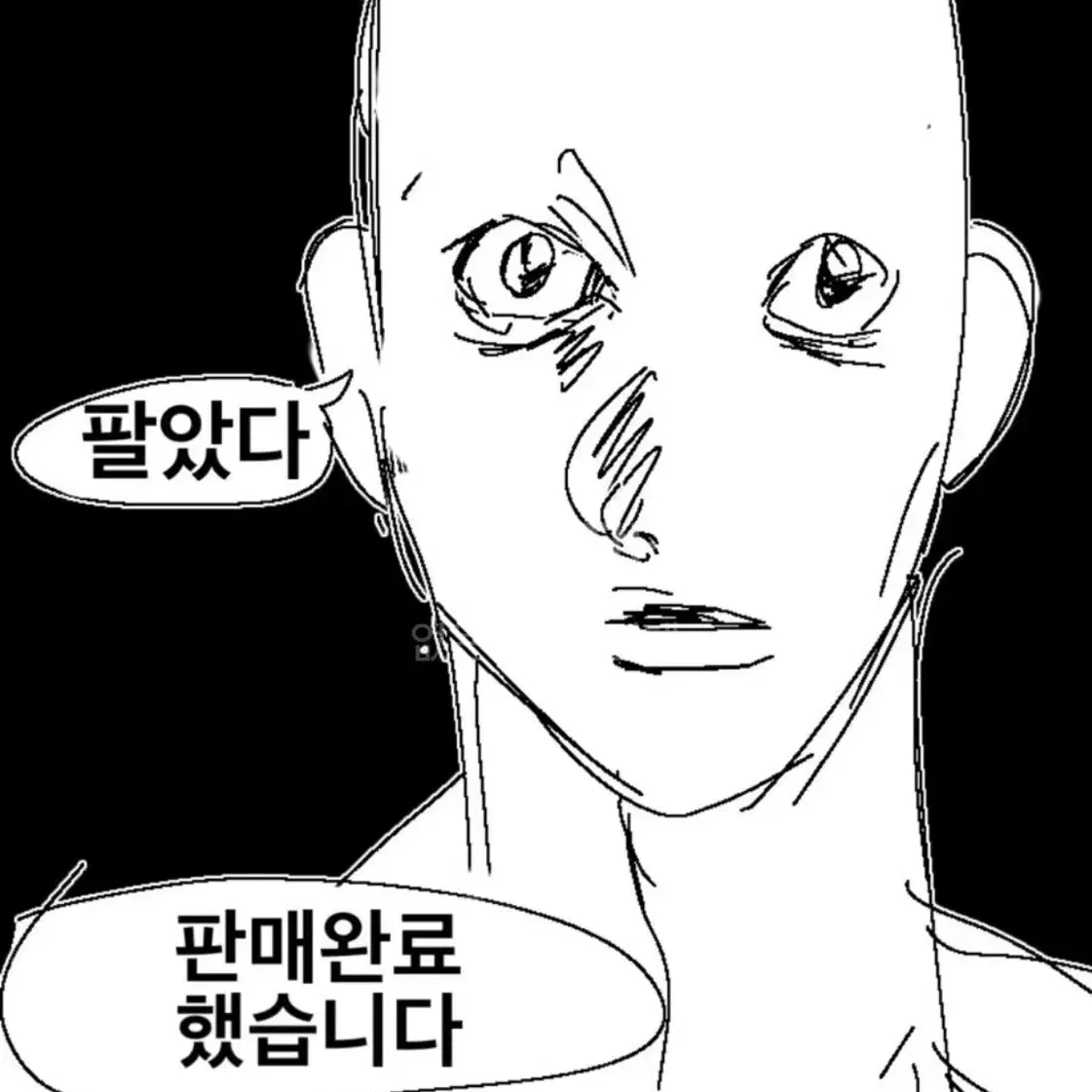 프리파라 닌텐도 스위치칩