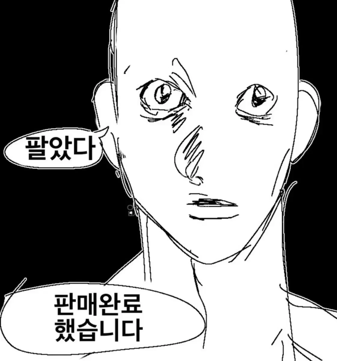 프리파라 닌텐도 스위치칩