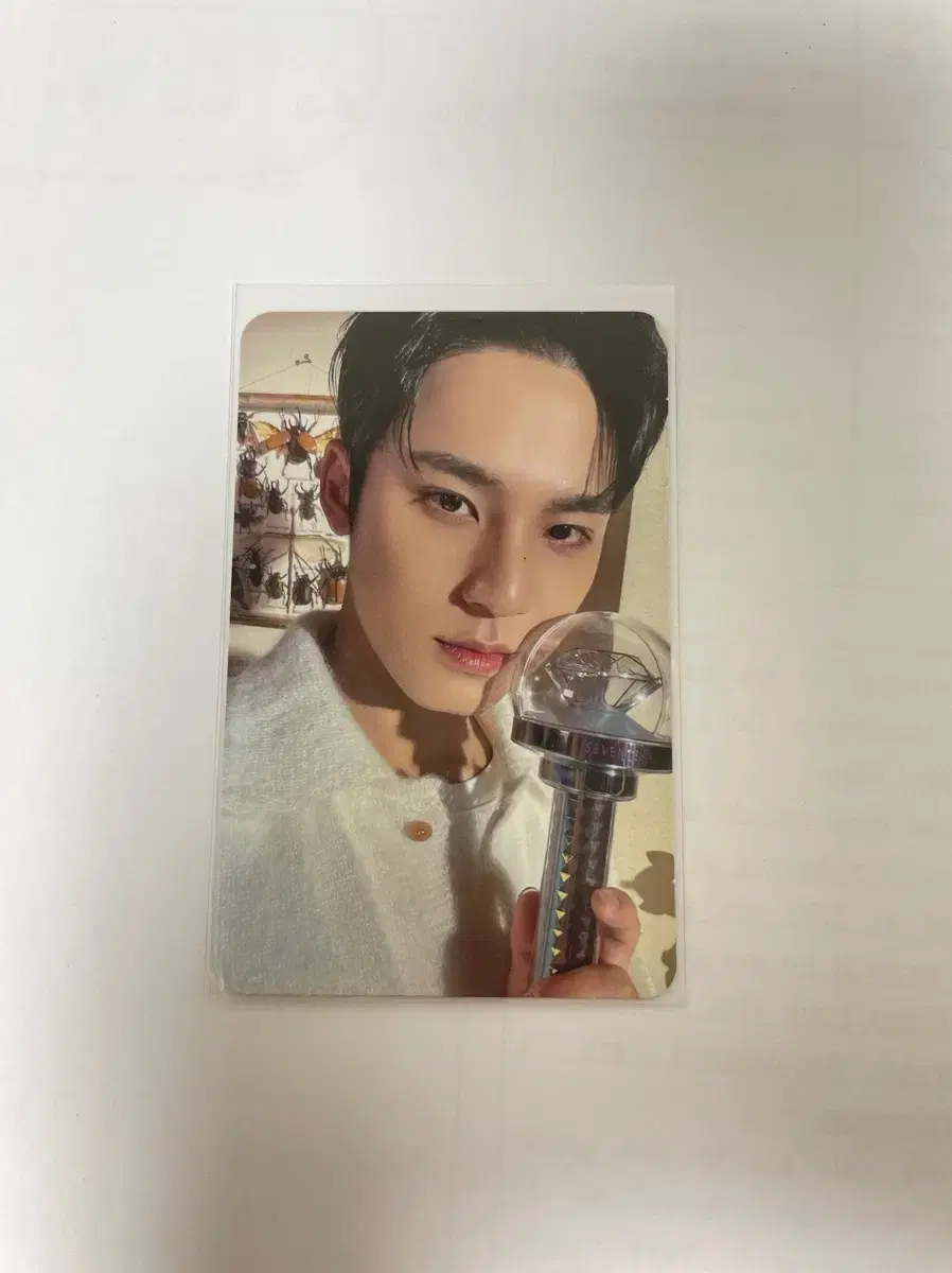 2024 Caratland carrot zone mingyu Sell