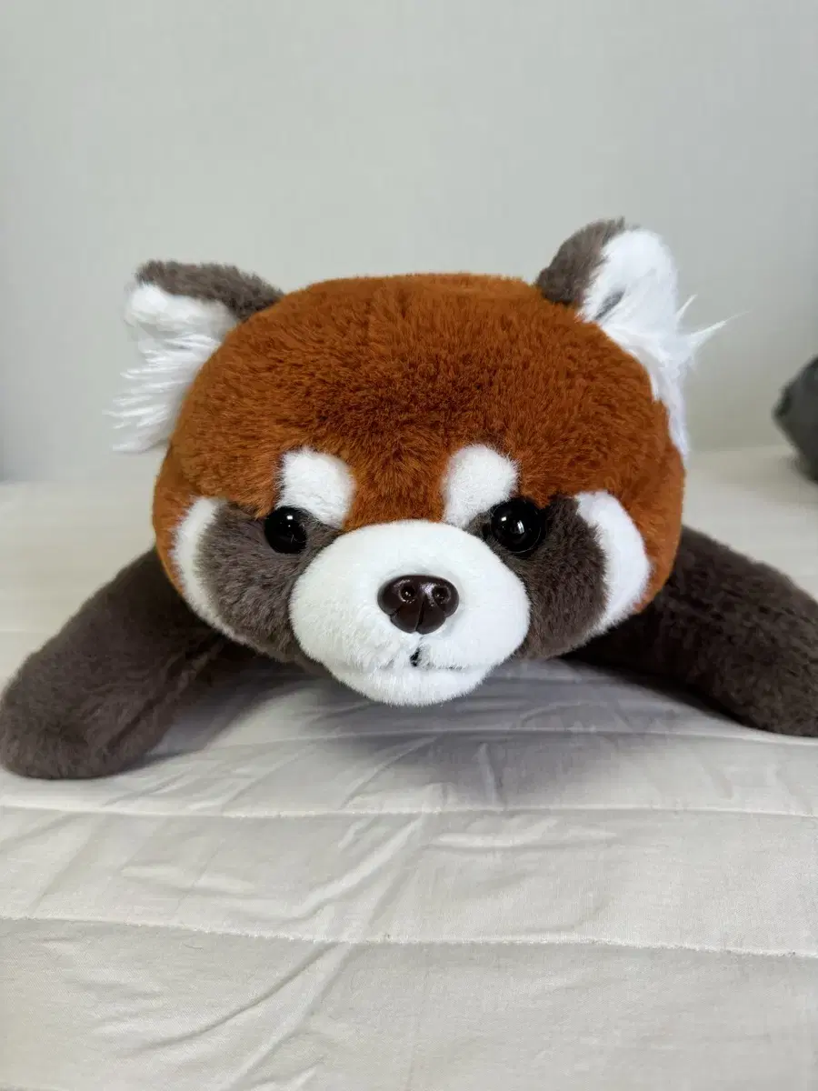 Lesser panda doll