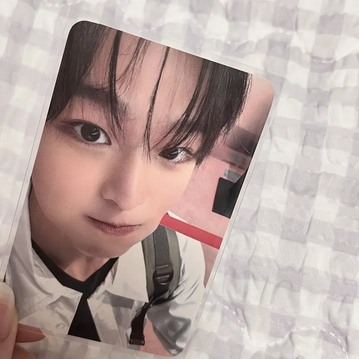 Riku with muu Steady unreleased photocard nct wish tolerance photocard