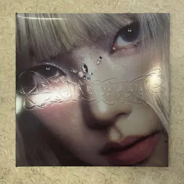 aespa armagedoon 카리나 앨범