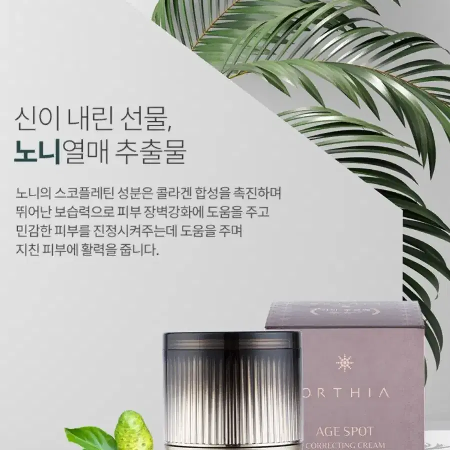 코리아나 오르시아 에이지 스팟 기미 크림50ml(2통)