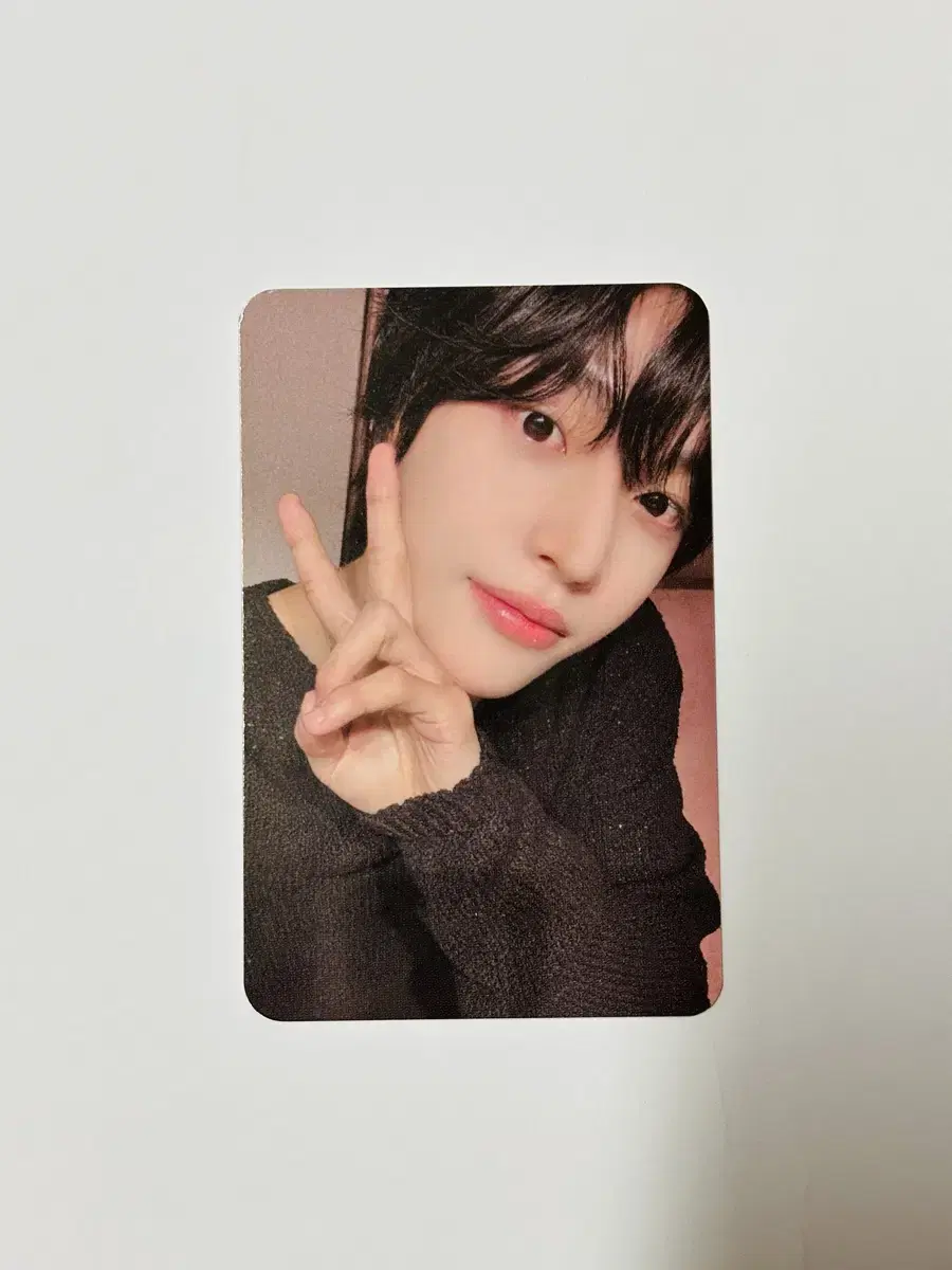 Rize wonbin Fanfly Youngtong Pansa unreleased photocard WTS