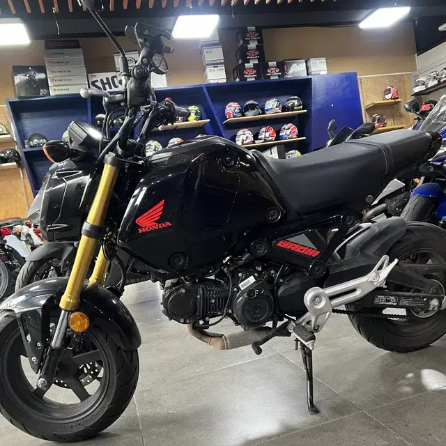 2023년식 HONDA MSX(GROM)125 중고 판매