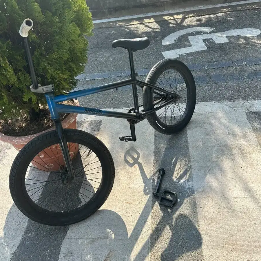 선데이 bmx