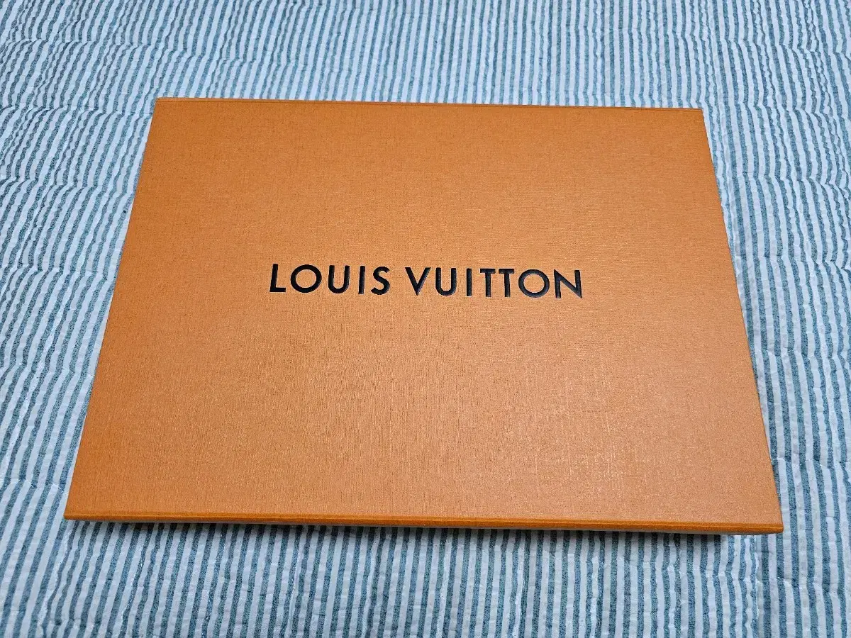 Louis Vuitton Pochette Voyage Clutch Bag