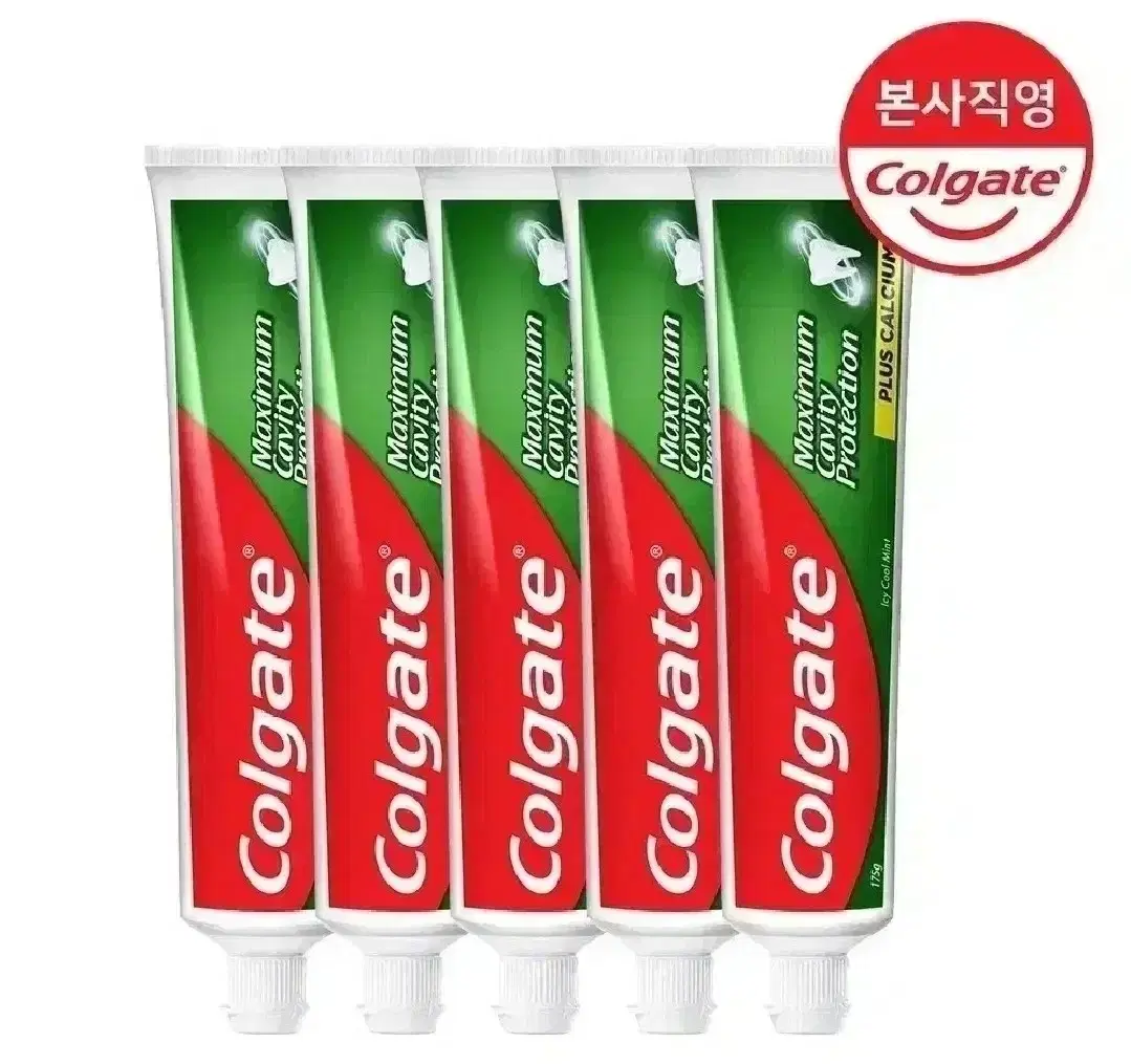 [무료배송] 콜게이트 불소 치약 175g 5개 쿨민트