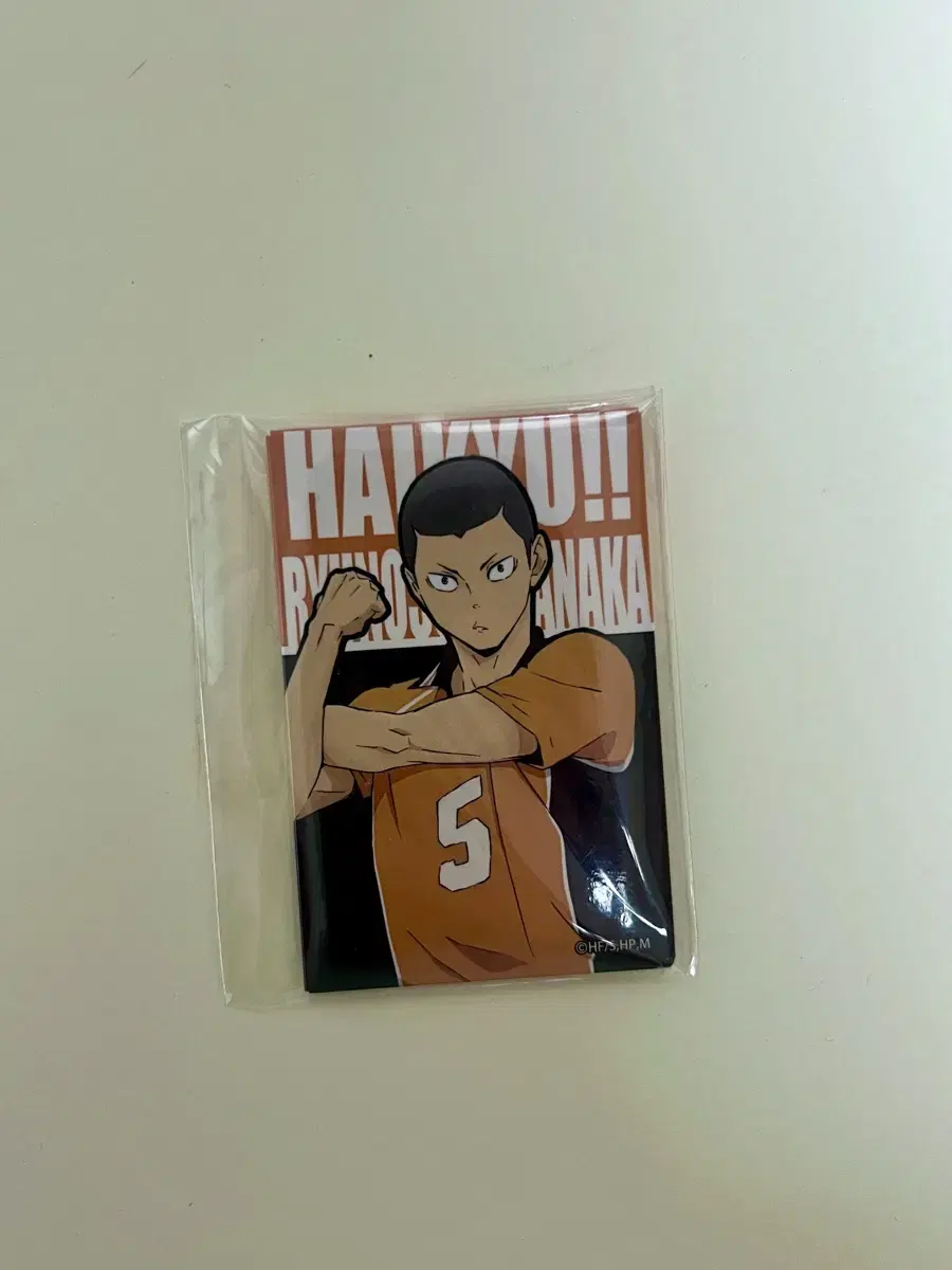 Haikyuu Tanaka Badge