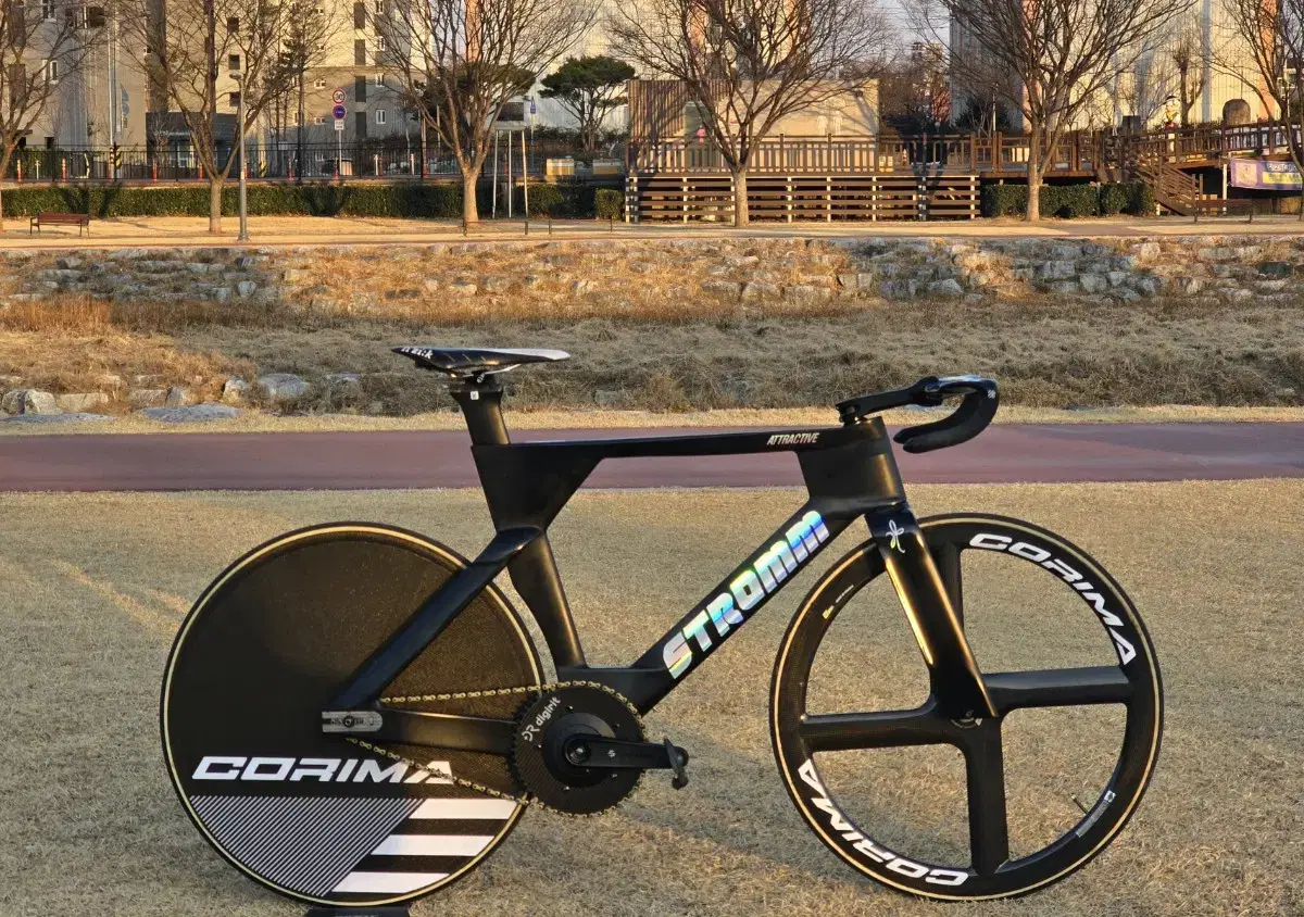 stromm track bike